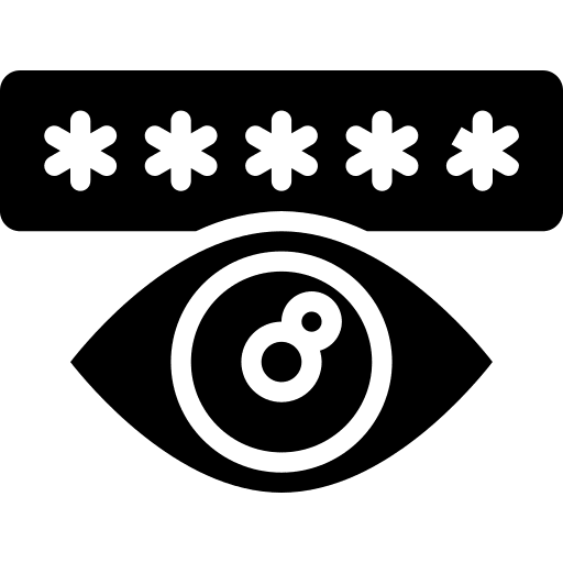 Password viewing security stealing icon