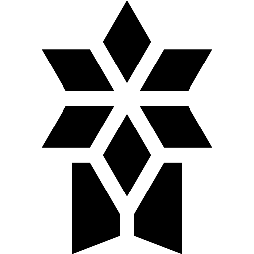 Medal sports and competition star prize icon