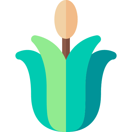 Calamus nature flower chinese icon Calamus nature flower chinese icon