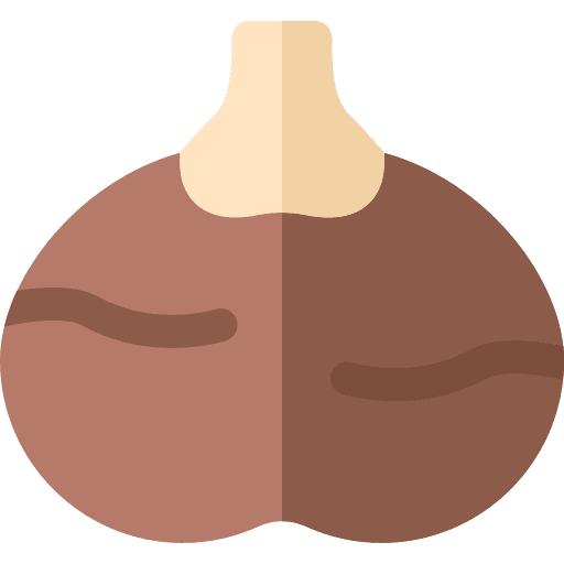 Chestnut chestnut acorn food and restaurant icon Chestnut chestnut acorn food and restaurant icon