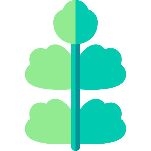 Wormwood plant botanical nature icon