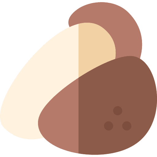 Nuts hazelnut nuts dried fruits icon Nuts hazelnut nuts dried fruits icon