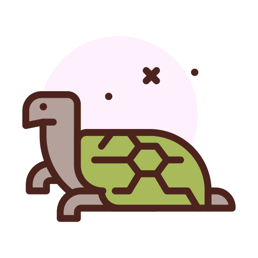 Turtle fauna turtle zoology icon Turtle fauna turtle zoology icon
