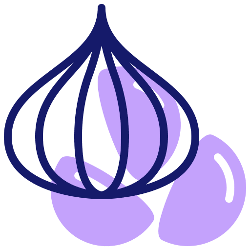 Garlic vegetable garlic organic icon