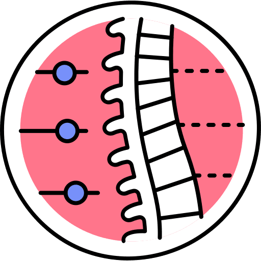 Orthopedics spine bones healthcare and medical icon