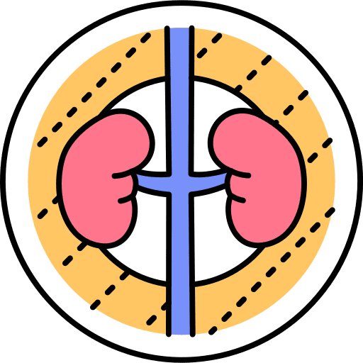 Urology urology kidneys healthcare and medical icon Urology urology kidneys healthcare and medical icon