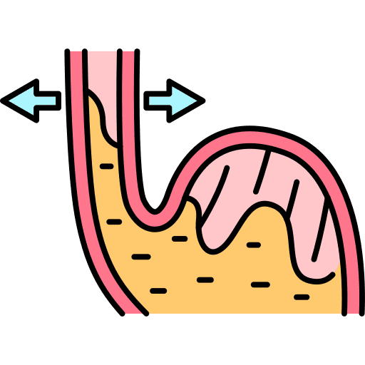 Stomach digestion gastric reflux stomach icon
