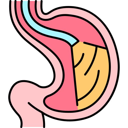 Stomach endoscopy checkup organ icon