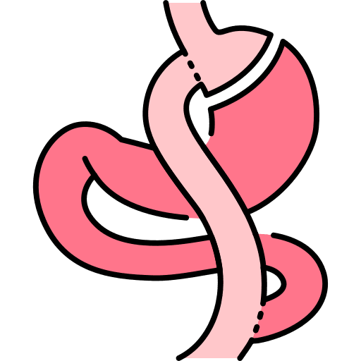Stomach organ healthcare and medical stomach icon