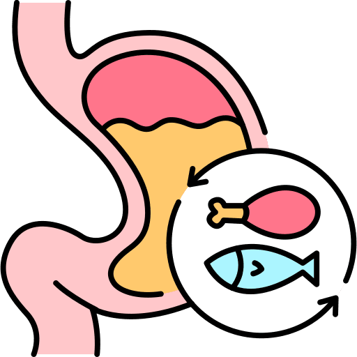 Stomach sickness organ digestion icon