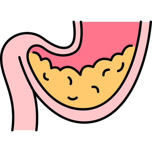 Stomach stomach organ healthcare and medical icon Stomach stomach organ healthcare and medical icon