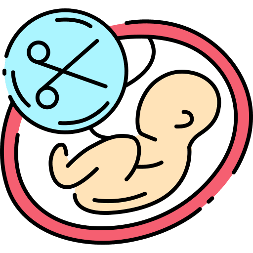 Abortion fetus healthcare and medical abortion icon