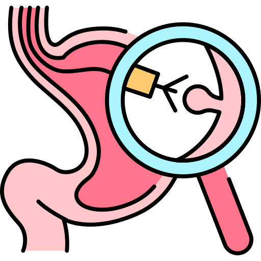 Stomach checkup organ healthcare and medical icon Stomach checkup organ healthcare and medical icon