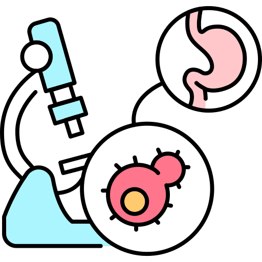 Stomach microscope stomach organ icon Stomach microscope stomach organ icon