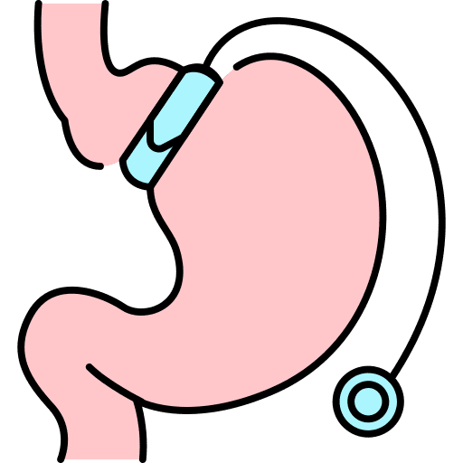 Stomach organ stomach healthcare and medical icon Stomach organ stomach healthcare and medical icon