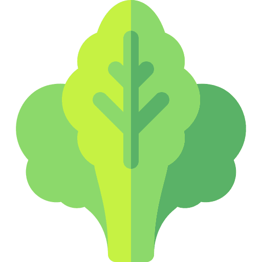 Spinach vegetarian healthy food organic icon