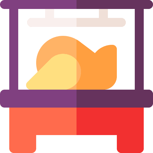 Chicken food and restaurant shop store icon Chicken food and restaurant shop store icon