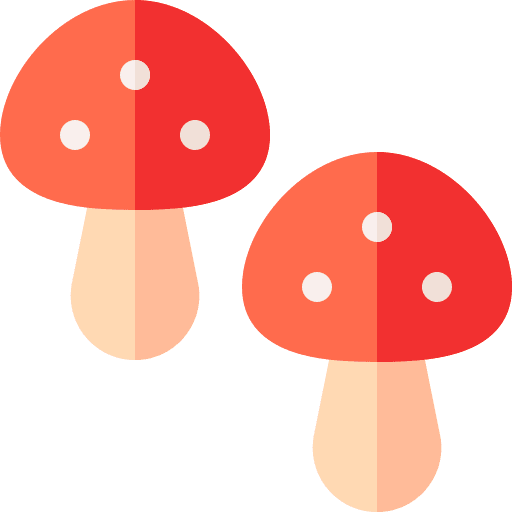 Mushroom fungi mushroom muscaria icon Mushroom fungi mushroom muscaria icon