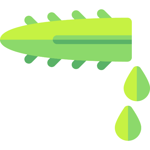Aloe vera plant aloe vera leaf icon Aloe vera plant aloe vera leaf icon