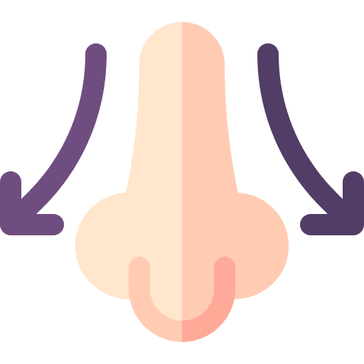 Massage nose wellness spa icon Massage nose wellness spa icon