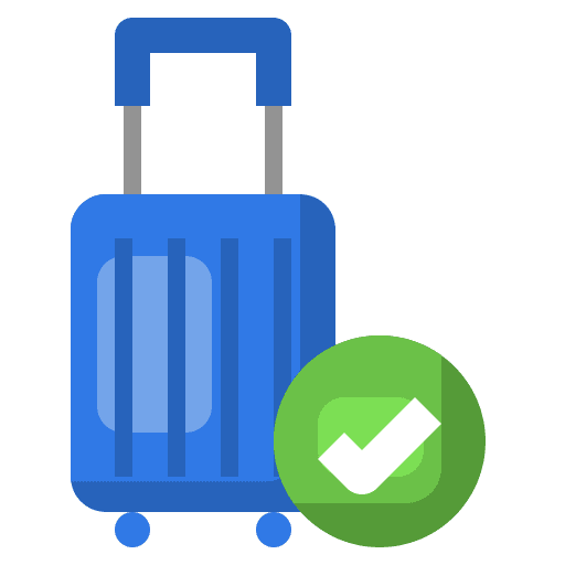 Check luggage control check icon
