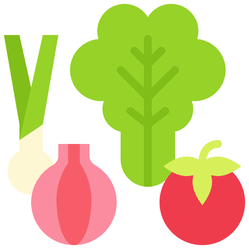 Vegetable healthy food vegetarian salad icon
