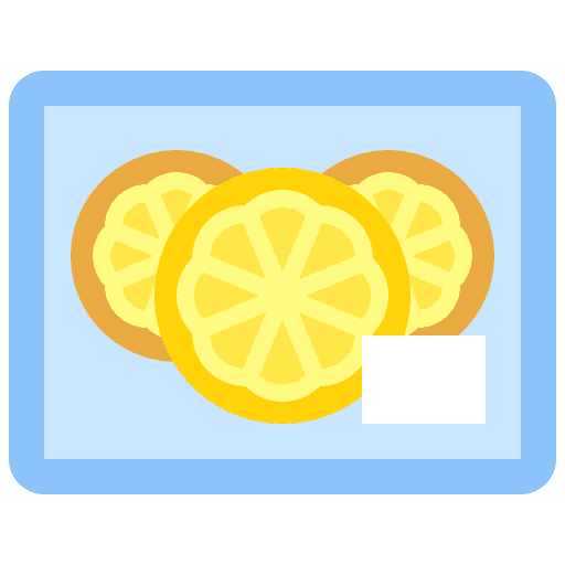 Orange slice orange vegetarian vegan icon