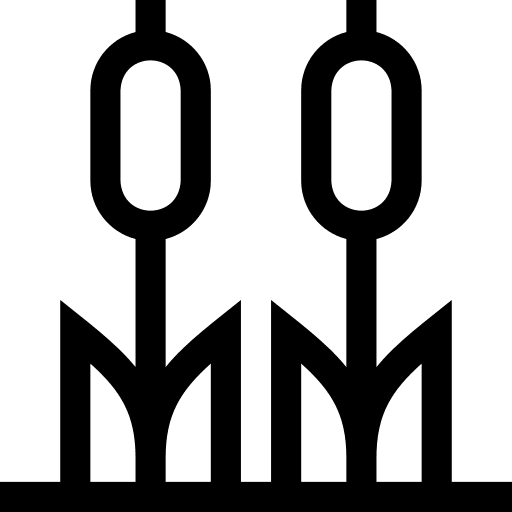 Reed nature ecology and environment cane icon