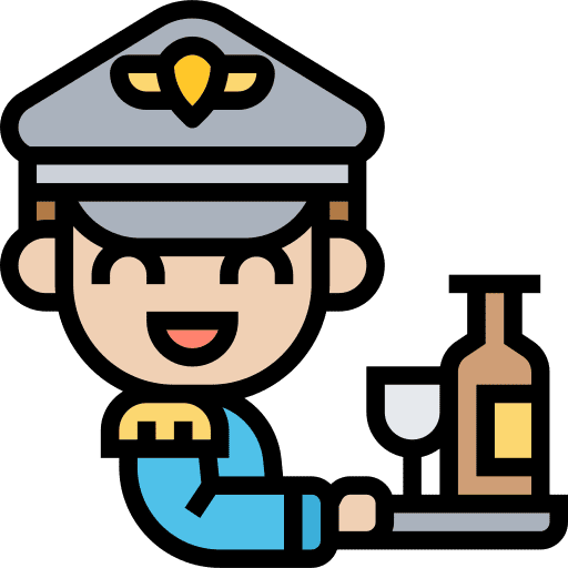 Steward air host vacation man icon
