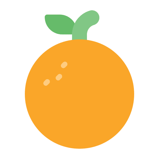 Orange vegan healthy food fruit icon