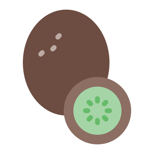 Kiwi vegan organic food icon Kiwi vegan organic food icon