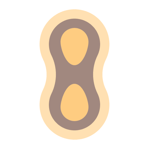 Peanut nut organic food icon Peanut nut organic food icon