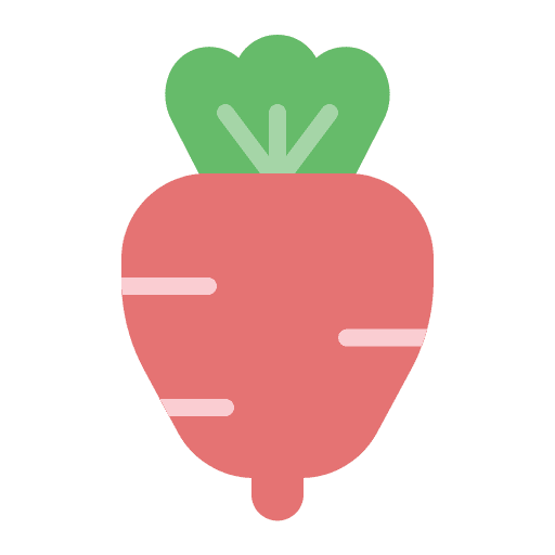 Radish vegan food and restaurant organic icon Radish vegan food and restaurant organic icon
