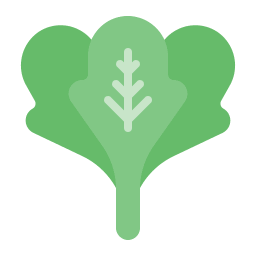 Spinach organic vegetable healthy food icon Spinach organic vegetable healthy food icon