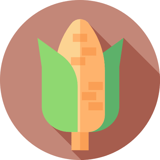 Corn vegetable cob food and restaurant icon