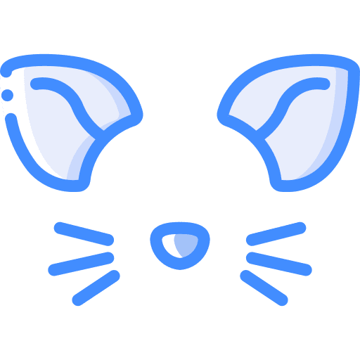 Cat photo selfie cat icon