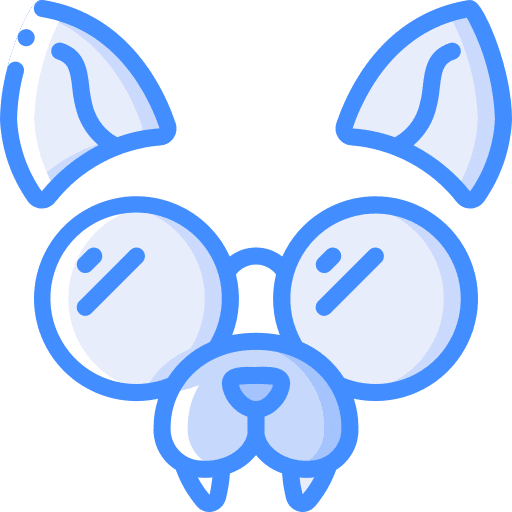 Fox glasses nose face icon Fox glasses nose face icon