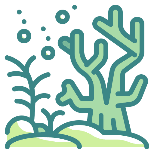 Coral marine coral reef icon