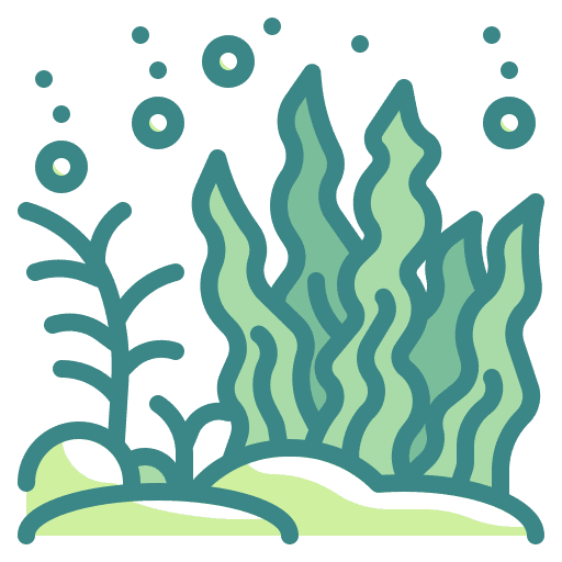 Seaweed ocean seaweed nature icon