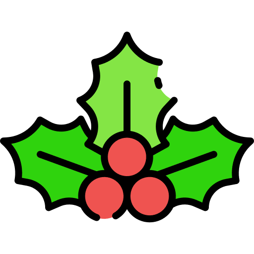 Mistletoe christmas nature decoration icon
