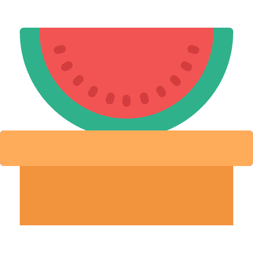 Watermelon healthy food fruit vegan icon
