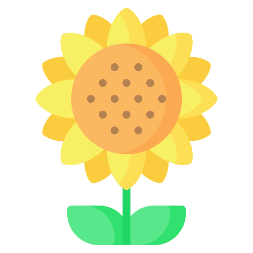 Sunflower blossom nature flower icon Sunflower blossom nature flower icon