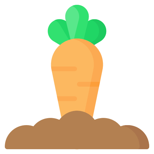 Carrot harvest farm food icon Carrot harvest farm food icon