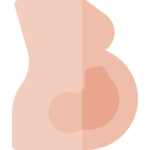 Pregnancy fetus people reproduction icon