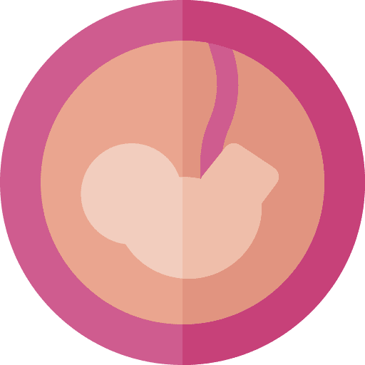 Embryo anatomy pregnant fetus icon Embryo anatomy pregnant fetus icon