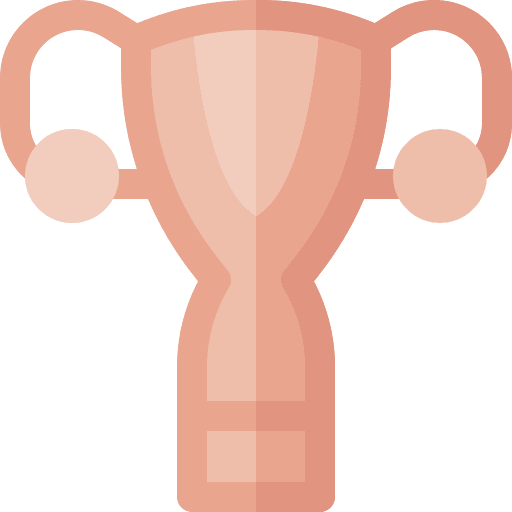 Uterus anatomy female healthcare and medical icon Uterus anatomy female healthcare and medical icon