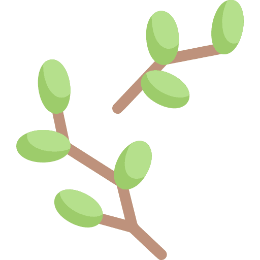 Buds flower bud buds botanical icon Buds flower bud buds botanical icon
