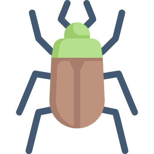 Insect bug wildlife beetle icon Insect bug wildlife beetle icon