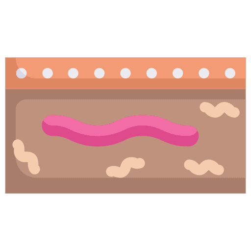 Worm tail tails worm icon Worm tail tails worm icon