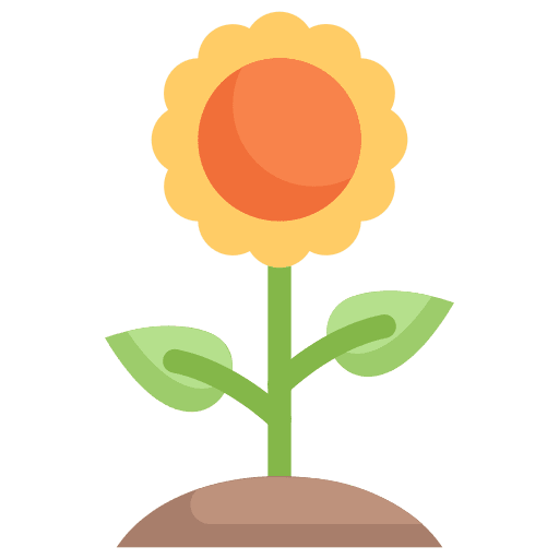 Sunflower botanical sunflowers farming and gardening icon Sunflower botanical sunflowers farming and gardening icon